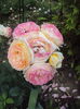 DSC09739