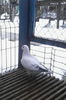 IMG_20160107_130357