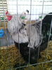 IMG_20160107_135933