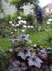 DSC06471