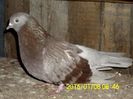 FB_IMG_1452238489973