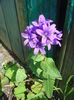 DSC05581