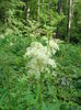 DSC05590