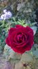 WP_20150831_008