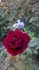 WP_20150831_009