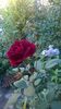 WP_20150831_010