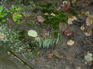 DSCN6293