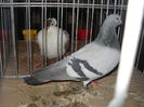 Picture 193