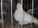 Picture 197