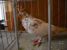 Picture 215