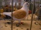 Picture 222
