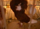 Picture 226