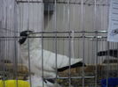 DSC00581