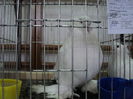 DSC00586
