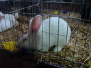 DSC00606