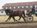 Furioso
