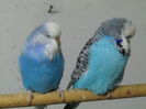 Picture 120