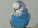 Picture 122