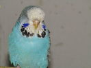 Picture 129