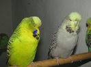 Picture 137