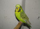 Picture 139