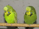 Picture 150
