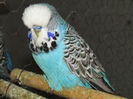 Picture 214