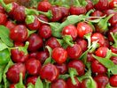 CHERRY BOMB