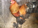 DSCN5830