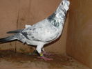 DSCN8075