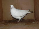 DSCN8084