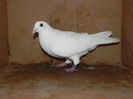 DSCN8097