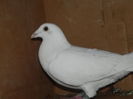 DSCN8245