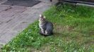 20150905_104822