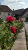 20150905_162530