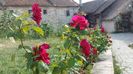 20150905_162536