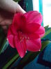 DSCN9506
