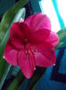 DSCN9507
