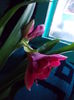DSCN9508