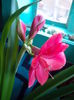 DSCN9519