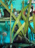 DSCN5353