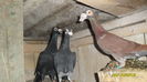 SAM_0164