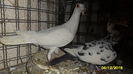 SAM_0165