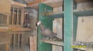 SAM_0172