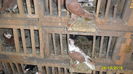 SAM_0179