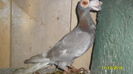 SAM_0280