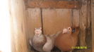 SAM_0297