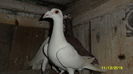 SAM_0316