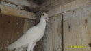 SAM_0318