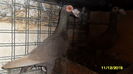 SAM_0319